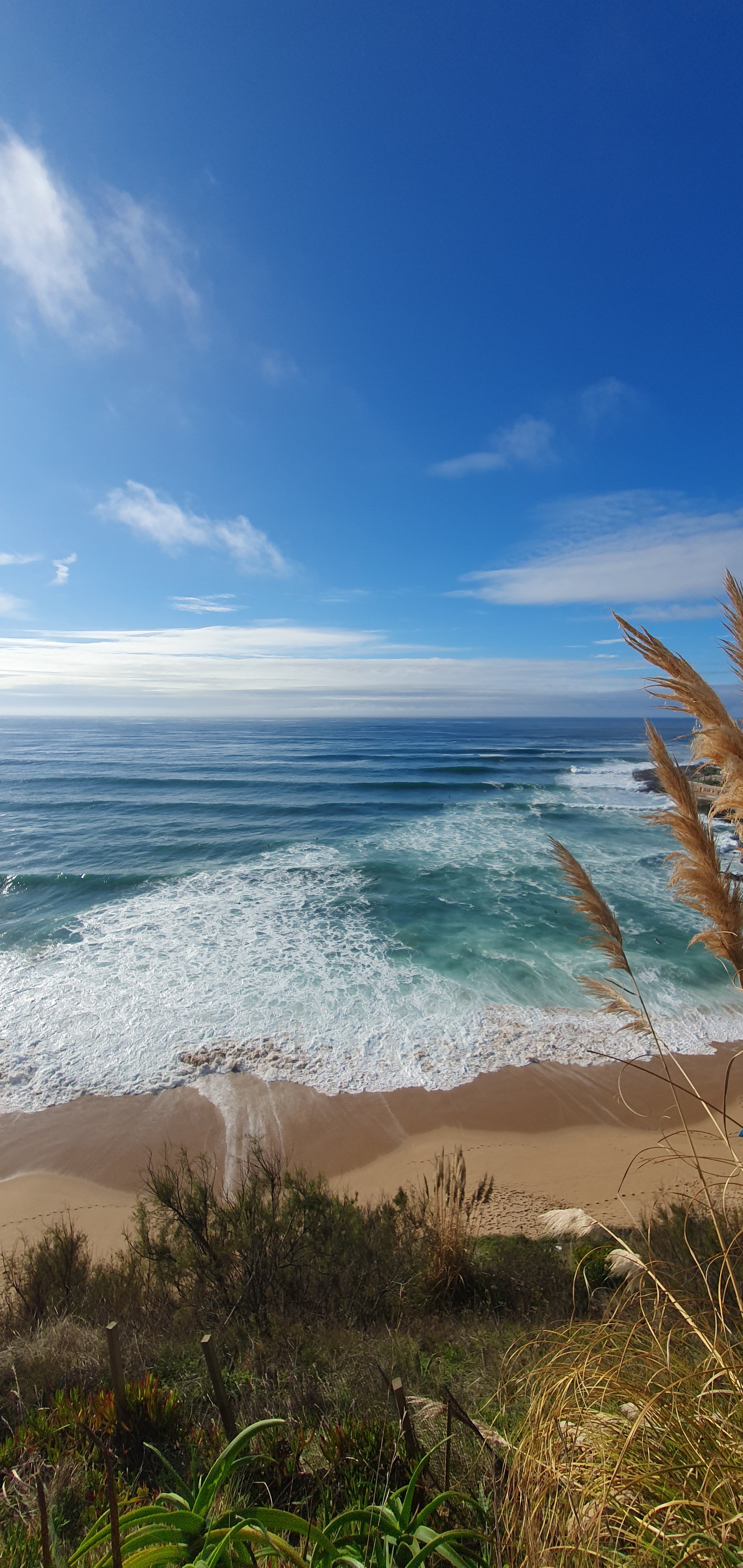 Surf Diaries – Portugal's Coastal Magic